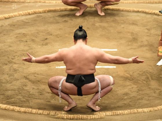 Detail Sumo Wrestler Pic Nomer 44