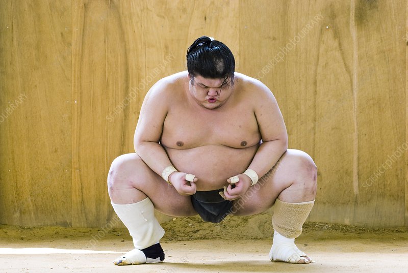 Detail Sumo Wrestler Pic Nomer 47