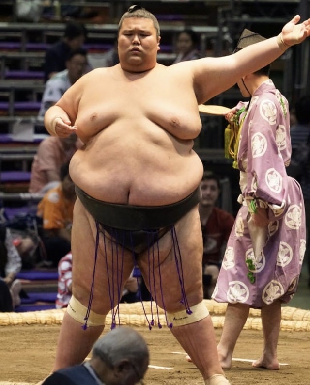 Detail Sumo Wrestler Pic Nomer 48