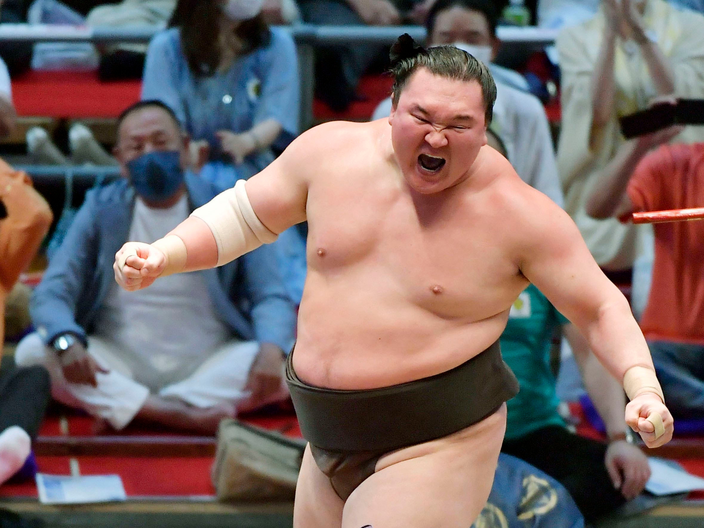 Detail Sumo Wrestler Pic Nomer 53