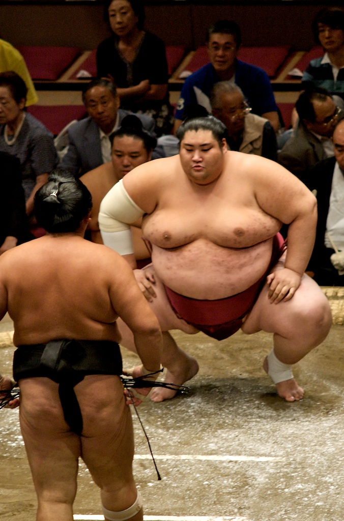 Detail Sumo Wrestling Wikipedia Nomer 2