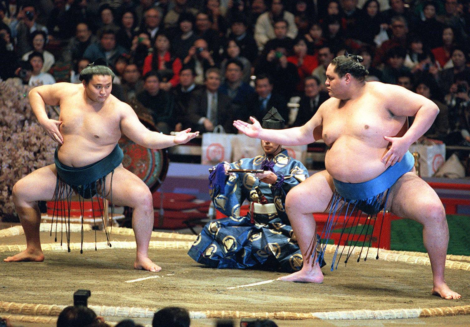 Detail Sumo Wrestling Wikipedia Nomer 19