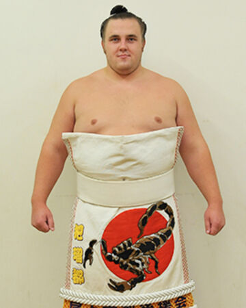 Detail Sumo Wrestling Wikipedia Nomer 20