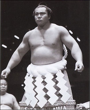 Detail Sumo Wrestling Wikipedia Nomer 23