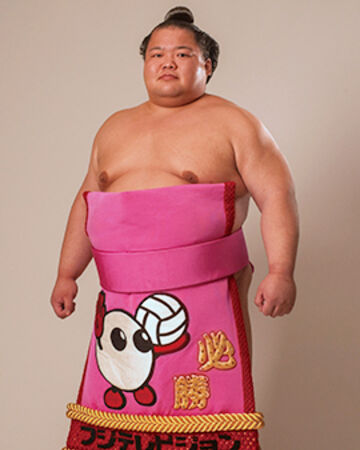 Detail Sumo Wrestling Wikipedia Nomer 28