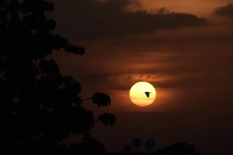 Detail Sun And Moon Quotes Nomer 21