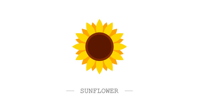 Detail Sun Flower Logo Nomer 48