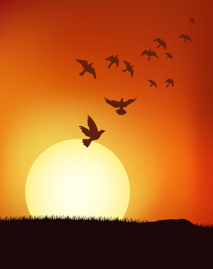 Detail Sun Rising Images Free Download Nomer 45