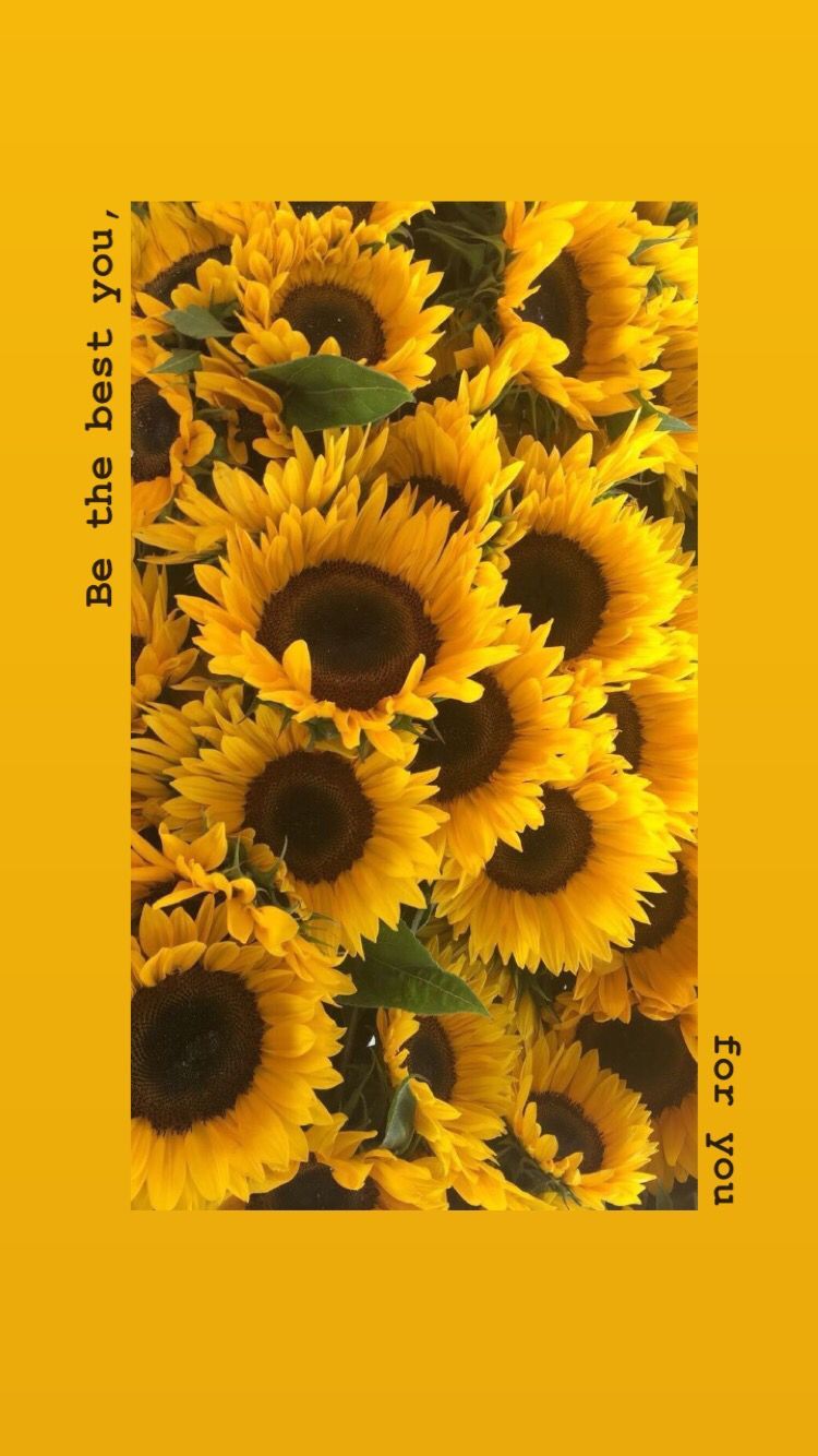 Detail Sunflower Aesthetic Nomer 14