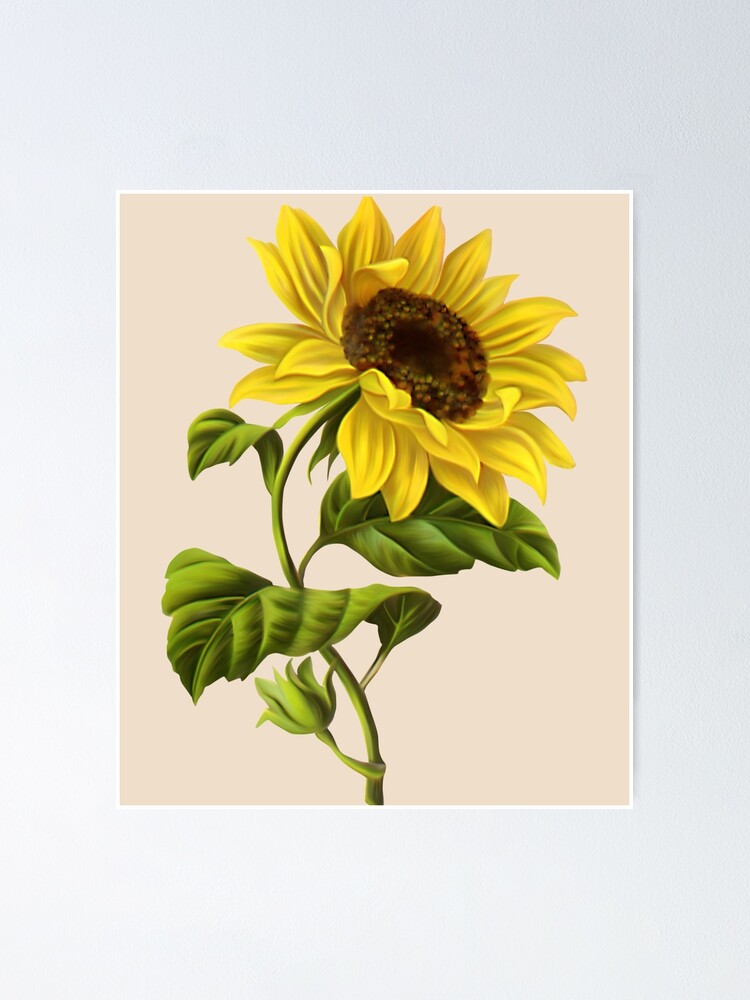 Detail Sunflower Aesthetic Nomer 38