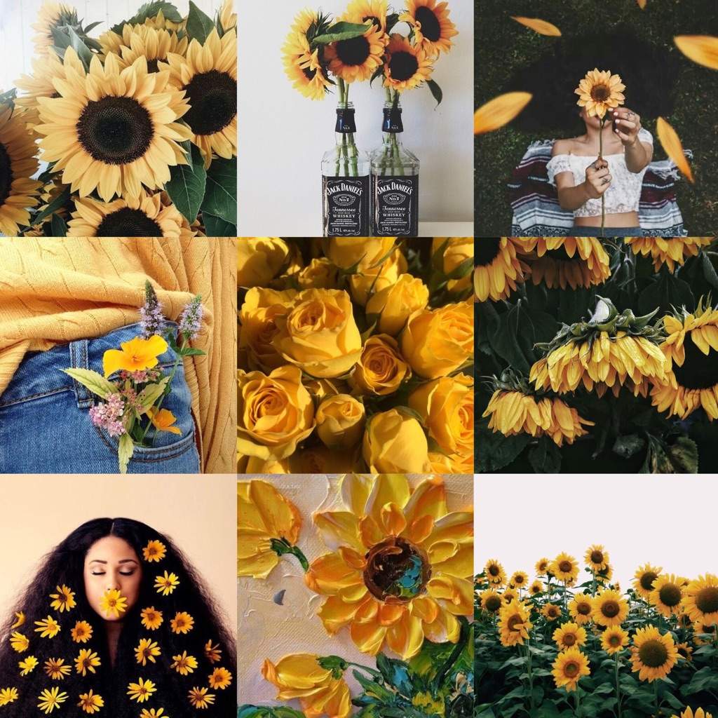 Detail Sunflower Aesthetic Nomer 48