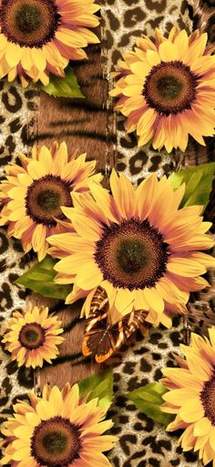 Detail Sunflower And Roses Wallpaper Iphone Nomer 43