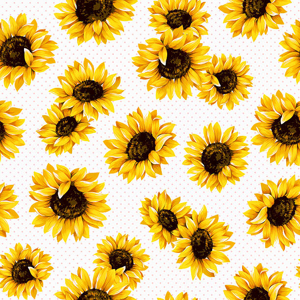 Detail Sunflower Background Clipart Nomer 23