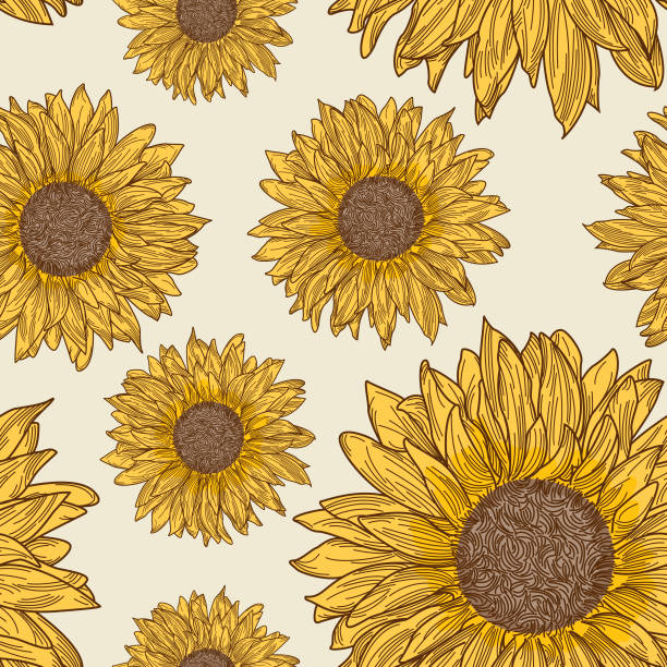 Detail Sunflower Background Clipart Nomer 24