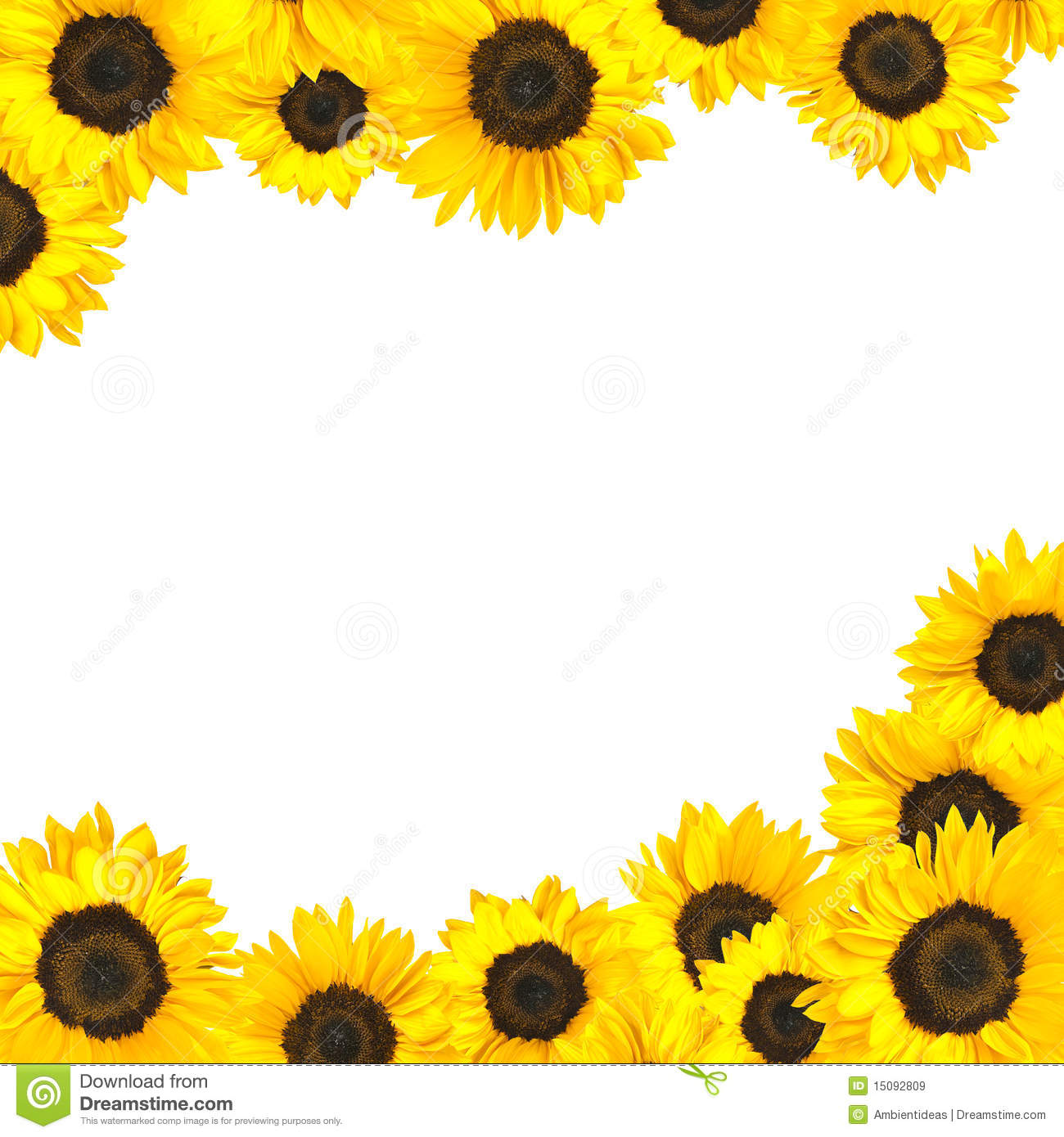 Detail Sunflower Background Clipart Nomer 27