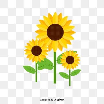 Detail Sunflower Background Clipart Nomer 43