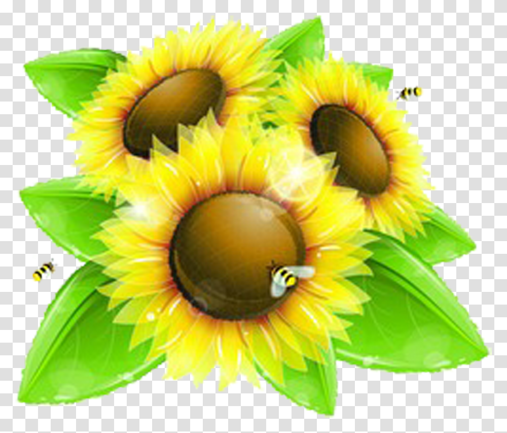 Detail Sunflower Background Clipart Nomer 45