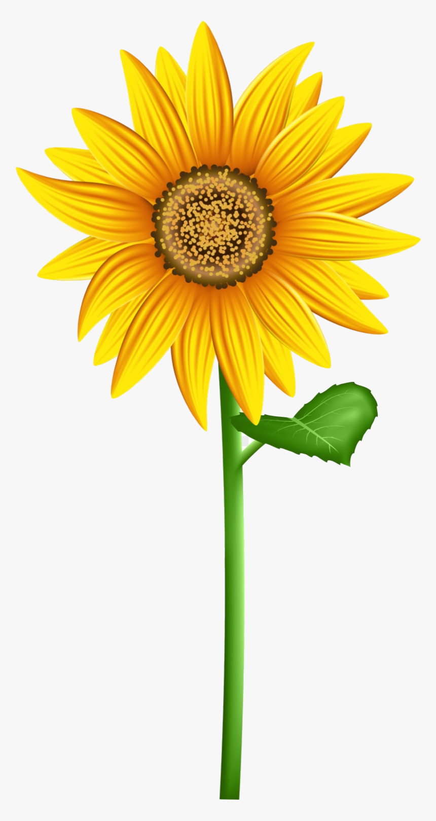 Detail Sunflower Background Clipart Nomer 51