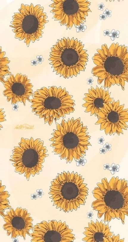 Detail Sunflower Background Tumblr Nomer 12