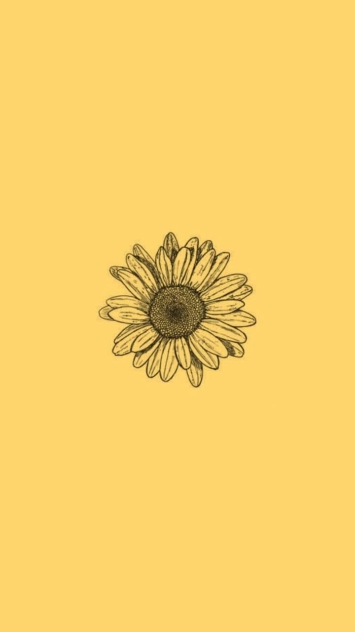 Detail Sunflower Background Tumblr Nomer 4