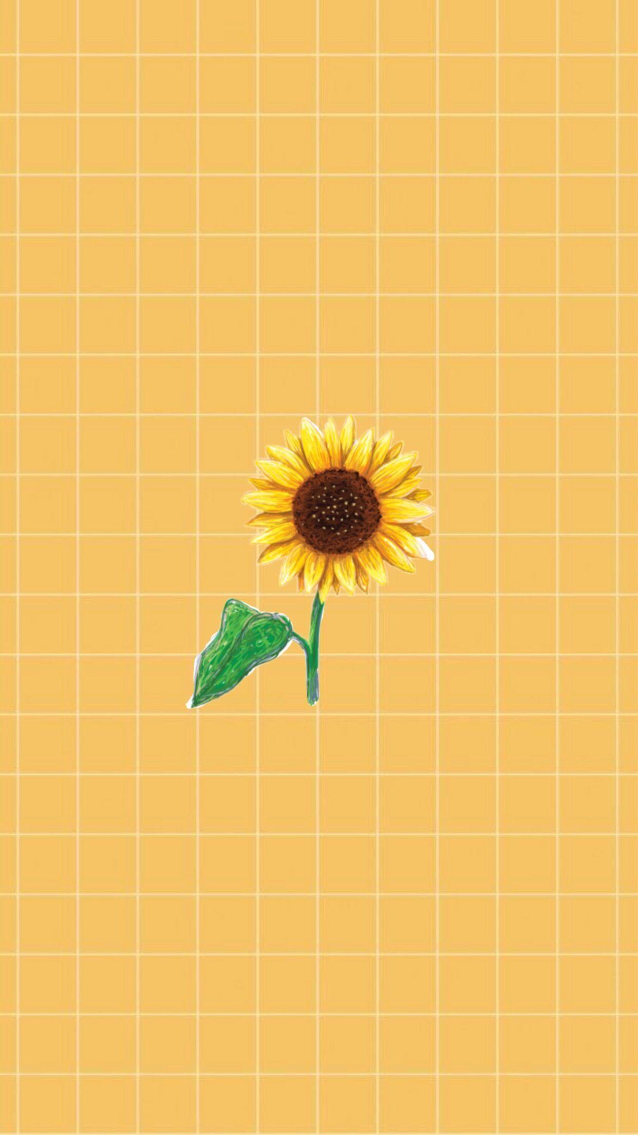 Detail Sunflower Background Tumblr Nomer 39