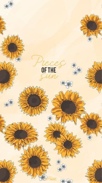 Detail Sunflower Background Tumblr Nomer 5