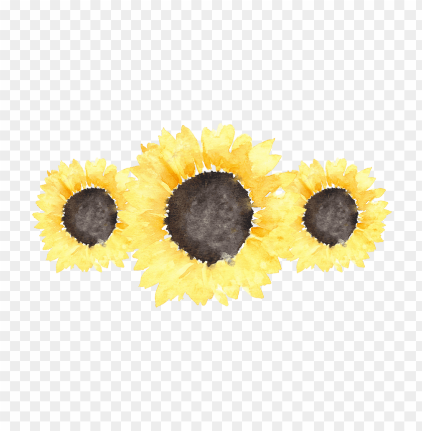 Detail Sunflower Background Tumblr Nomer 45