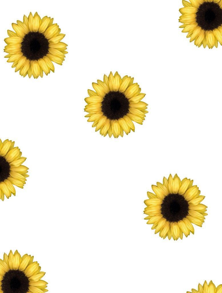 Detail Sunflower Background Tumblr Nomer 6
