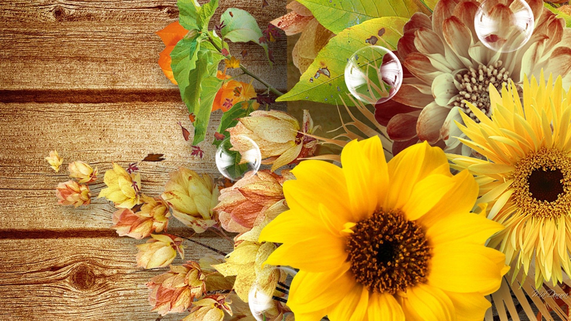 Detail Sunflower Background Wallpaper Nomer 29