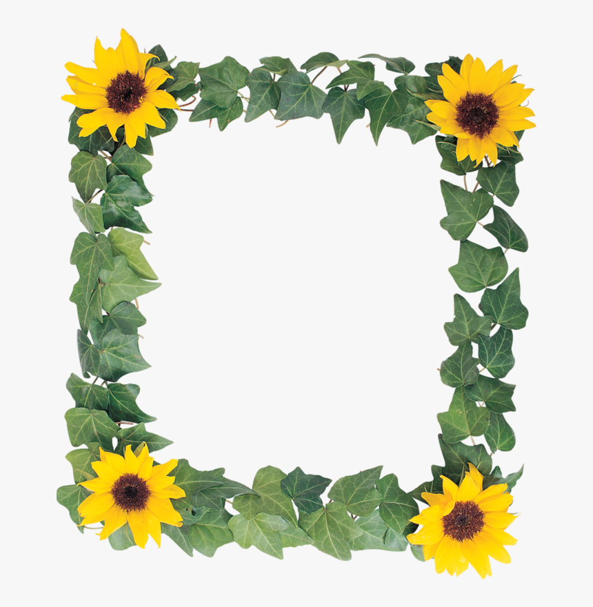 Detail Sunflower Banner Clipart Nomer 47