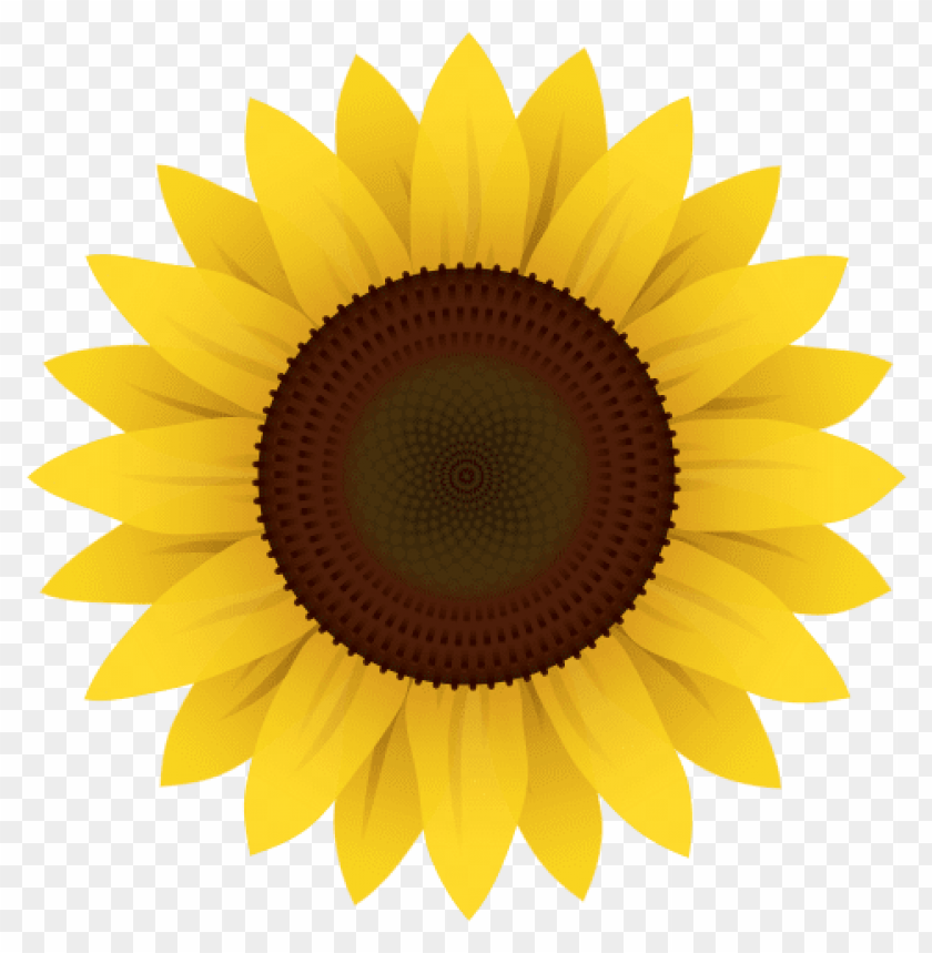 Detail Sunflower Banner Clipart Nomer 49