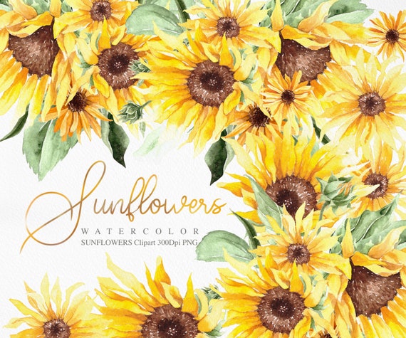 Detail Sunflower Banner Clipart Nomer 50