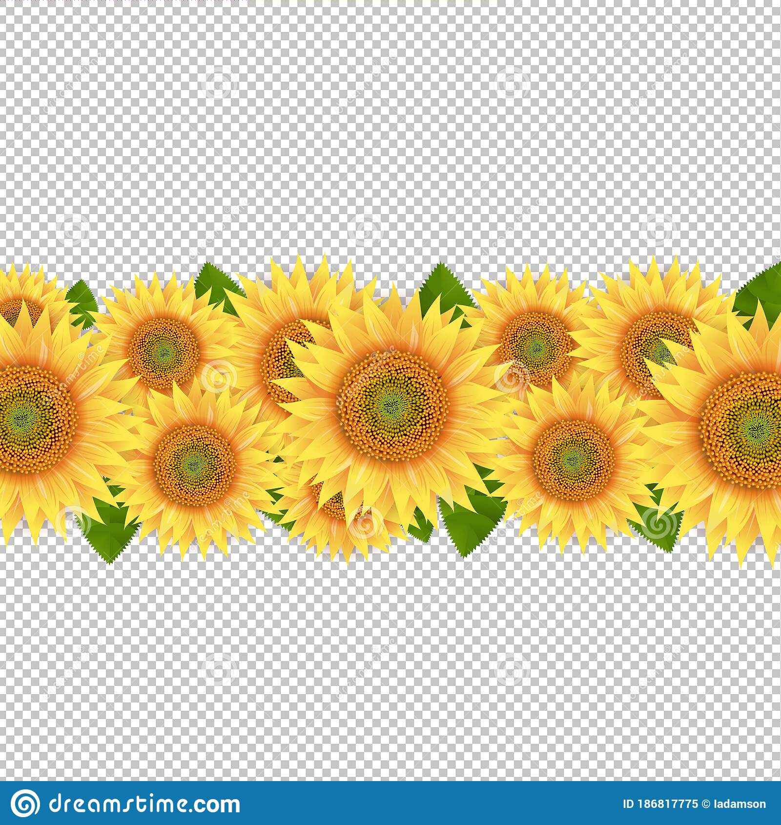 Detail Sunflower Banner Clipart Nomer 54