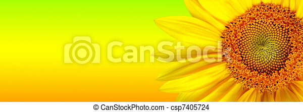 Detail Sunflower Banner Clipart Nomer 56