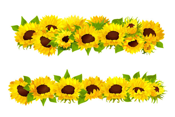 Sunflower Border Clip Art Free - KibrisPDR