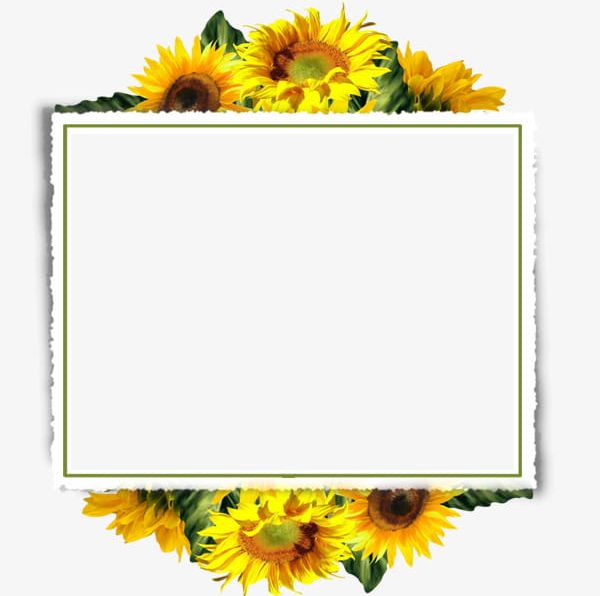 Detail Sunflower Border Clip Art Free Nomer 11