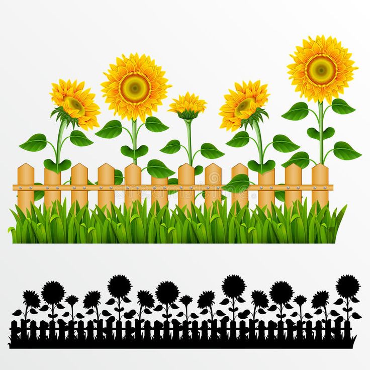 Detail Sunflower Border Clip Art Free Nomer 19