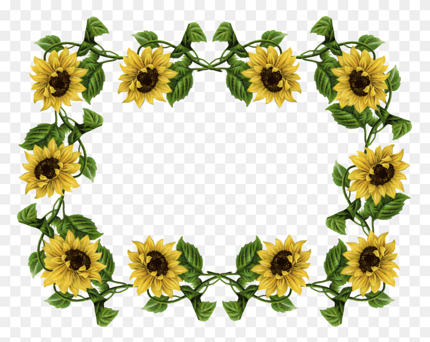 Detail Sunflower Border Clip Art Free Nomer 21