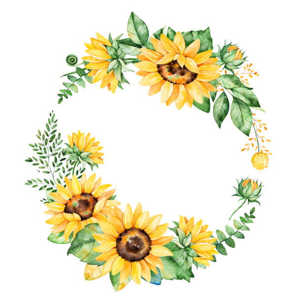 Detail Sunflower Border Clip Art Free Nomer 26