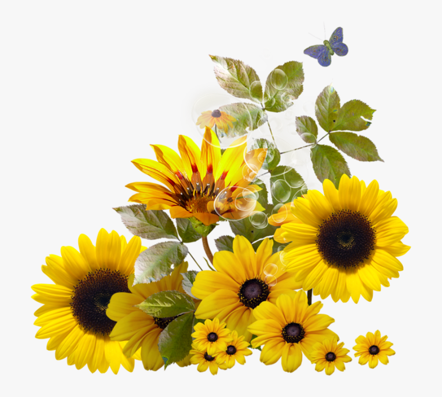 Detail Sunflower Border Clip Art Free Nomer 30