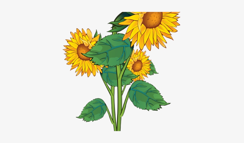 Detail Sunflower Border Clip Art Free Nomer 31