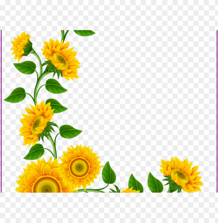 Detail Sunflower Border Clip Art Free Nomer 3