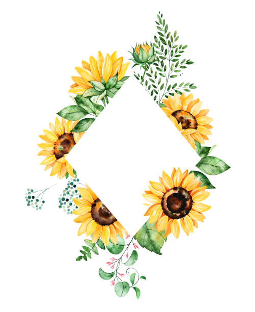 Detail Sunflower Border Clip Art Free Nomer 33