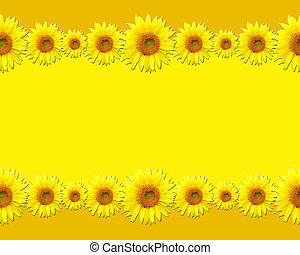 Detail Sunflower Border Clip Art Free Nomer 49