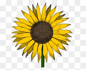 Detail Sunflower Clip Art Free Nomer 19