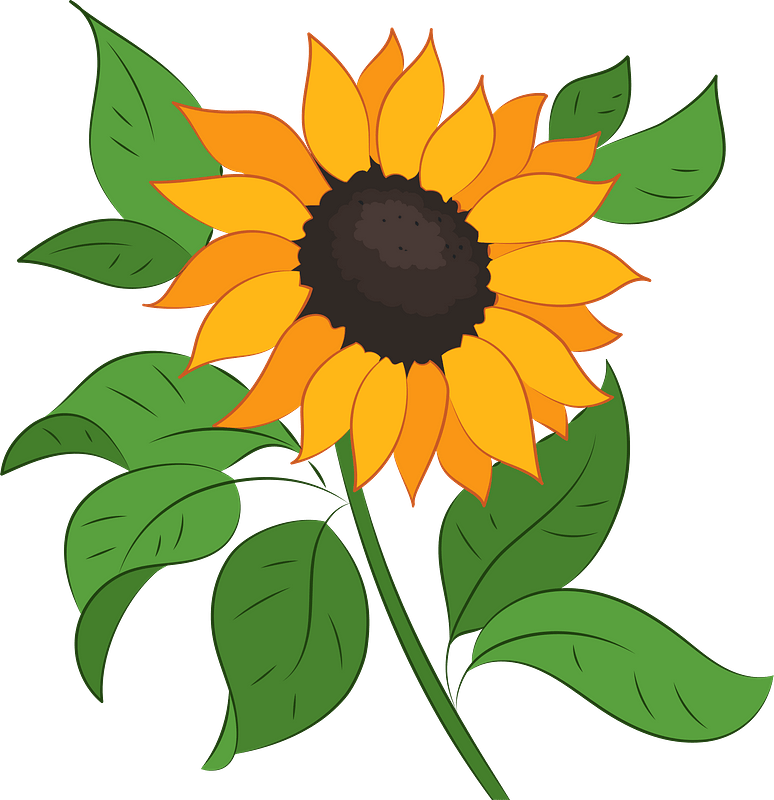 Detail Sunflower Clip Art Free Nomer 36