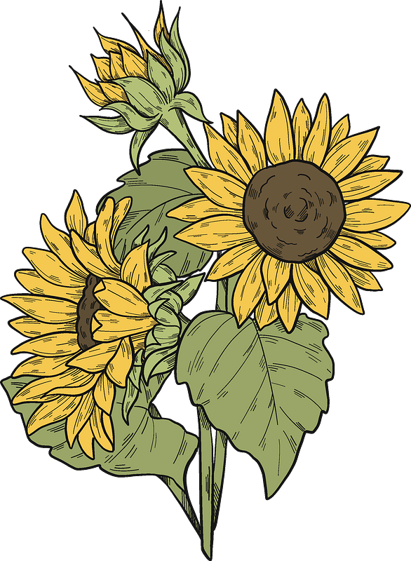 Detail Sunflower Clip Art Free Nomer 51