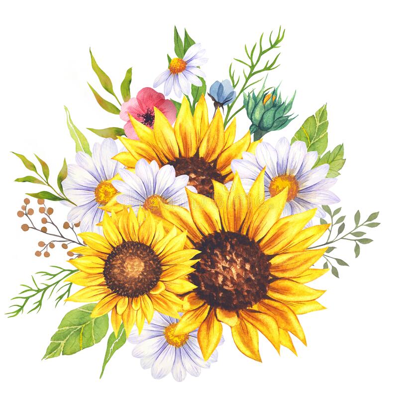 Detail Sunflower Clipart Free Nomer 13