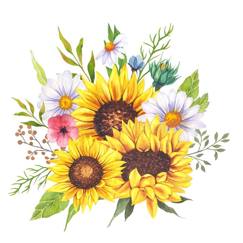 Detail Sunflower Clipart Free Nomer 22