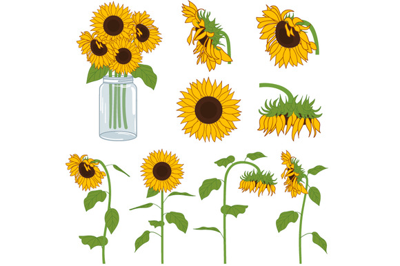 Detail Sunflower Clipart Free Nomer 39